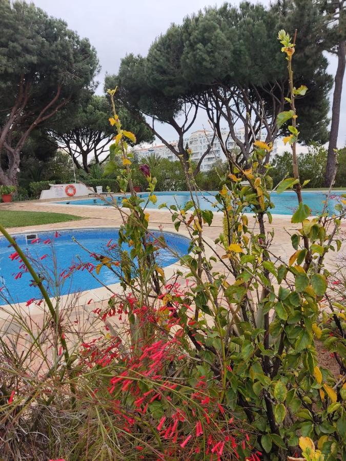 Vieira Apartment 1 كوارتيرا المظهر الخارجي الصورة