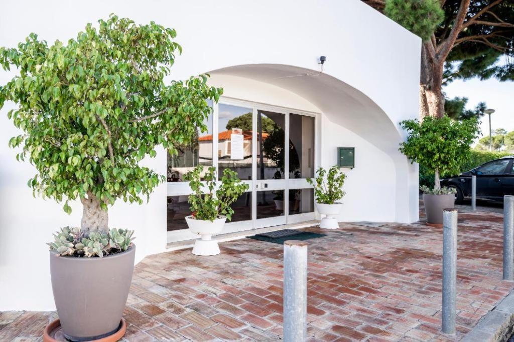 Vieira Apartment 1 كوارتيرا المظهر الخارجي الصورة